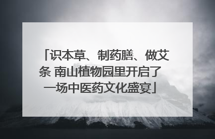 识本草、制药膳、做艾条 南山植物园里开启了一场中医药文化盛宴