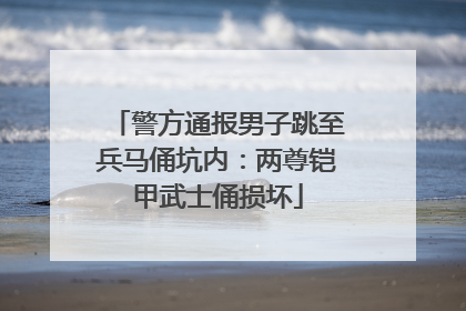 警方通报男子跳至兵马俑坑内：两尊铠甲武士俑损坏