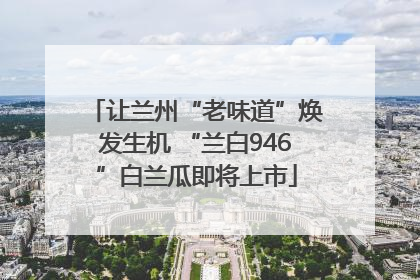 让兰州“老味道”焕发生机 “兰白946”白兰瓜即将上市