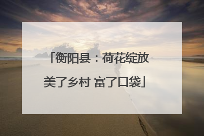 衡阳县：荷花绽放 美了乡村 富了口袋