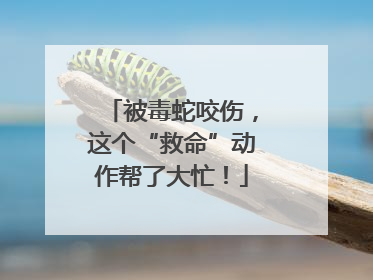 被毒蛇咬伤，这个“救命”动作帮了大忙！