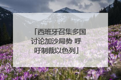 西班牙召集多国讨论加沙局势 呼吁制裁以色列