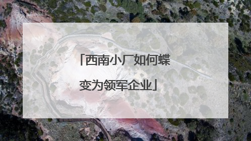 西南小厂如何蝶变为领军企业