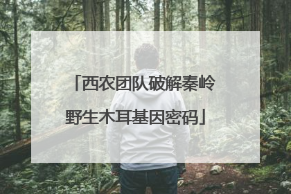西农团队破解秦岭野生木耳基因密码