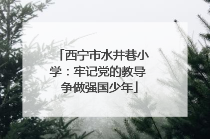 西宁市水井巷小学：牢记党的教导 争做强国少年