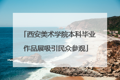 西安美术学院本科毕业作品展吸引民众参观