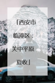 西安市临潼区：关中平原夏收
