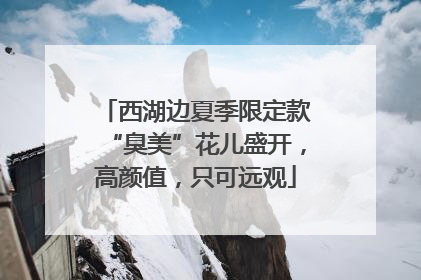 西湖边夏季限定款“臭美”花儿盛开，高颜值，只可远观