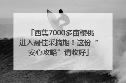 西集7000多亩樱桃进入最佳采摘期！这份“安心攻略”请收好