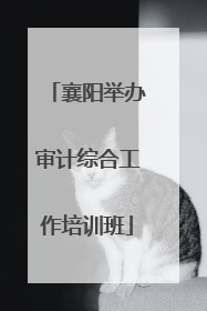襄阳举办审计综合工作培训班