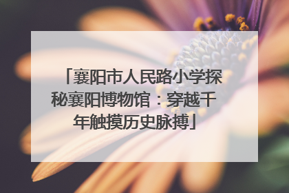 襄阳市人民路小学探秘襄阳博物馆：穿越千年触摸历史脉搏