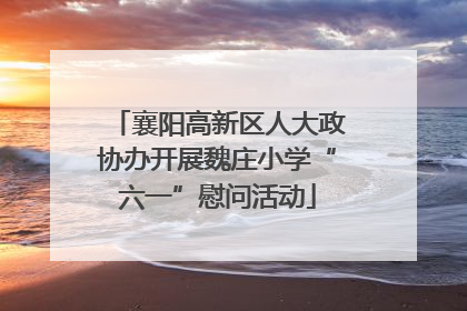 襄阳高新区人大政协办开展魏庄小学“六一”慰问活动