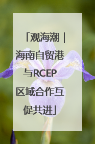 观海潮｜海南自贸港与RCEP区域合作互促共进