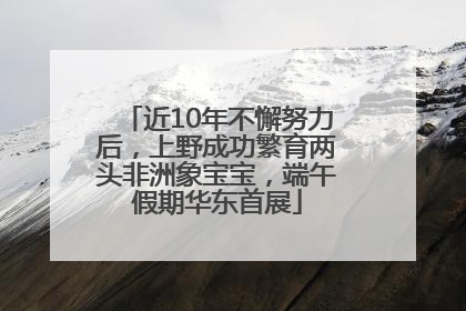 近10年不懈努力后，上野成功繁育两头非洲象宝宝，端午假期华东首展