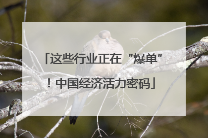 这些行业正在“爆单”！中国经济活力密码