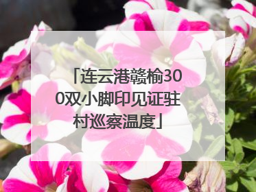 连云港赣榆300双小脚印见证驻村巡察温度