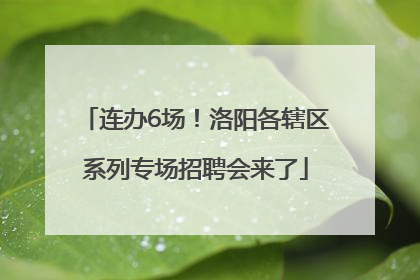 连办6场！洛阳各辖区系列专场招聘会来了