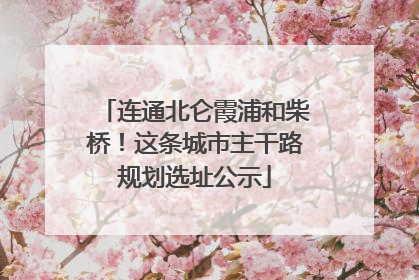连通北仑霞浦和柴桥！这条城市主干路规划选址公示