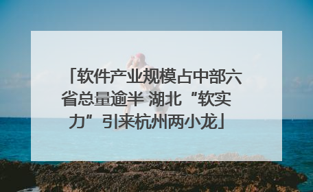 软件产业规模占中部六省总量逾半 湖北“软实力”引来杭州两小龙