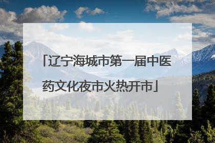 辽宁海城市第一届中医药文化夜市火热开市