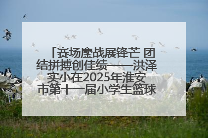 赛场鏖战展锋芒 团结拼搏创佳绩——洪泽实小在2025年淮安市第十一届小学生篮球比赛中再获佳绩