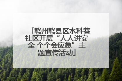 赣州赣县区水科巷社区开展“人人讲安全 个个会应急”主题宣传活动