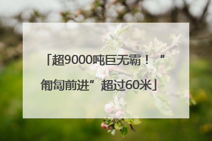 超9000吨巨无霸！“匍匐前进”超过60米