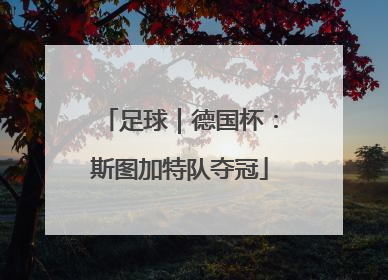 足球｜德国杯：斯图加特队夺冠
