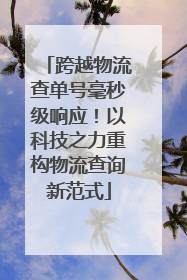 跨越物流查单号毫秒级响应！以科技之力重构物流查询新范式