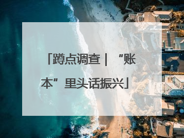 蹲点调查｜“账本”里头话振兴