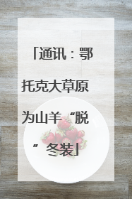 通讯：鄂托克大草原为山羊“脱”冬装