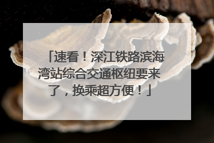 速看！深江铁路滨海湾站综合交通枢纽要来了，换乘超方便！