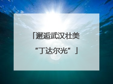 邂逅武汉壮美“丁达尔光”
