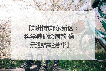 郑州市郑东新区：科学养护绘荷韵 盛景迎客绽芳华