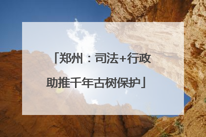 郑州：司法+行政助推千年古树保护