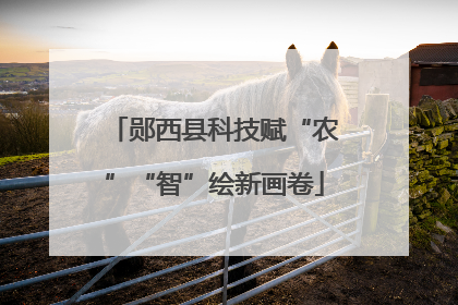 郧西县科技赋“农”“智”绘新画卷