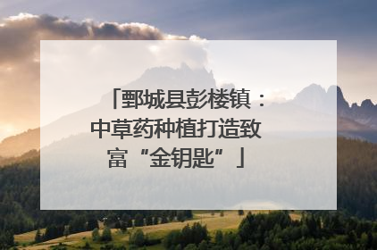 鄄城县彭楼镇:中草药种植打造致富“金钥匙”