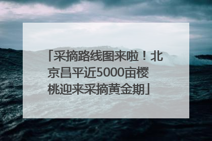 采摘路线图来啦！北京昌平近5000亩樱桃迎来采摘黄金期