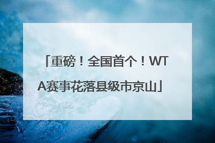重磅！全国首个！WTA赛事花落县级市京山