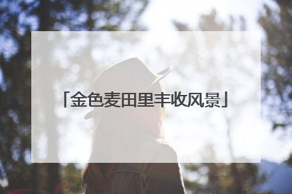 金色麦田里丰收风景