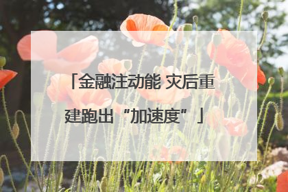 金融注动能 灾后重建跑出“加速度”