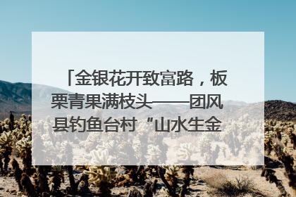 金银花开致富路，板栗青果满枝头——团风县钓鱼台村“山水生金”谱写共富新篇章