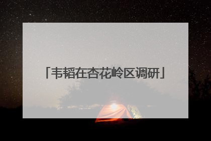 韦韬在杏花岭区调研