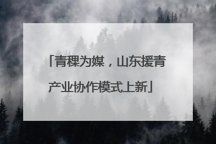 青稞为媒，山东援青产业协作模式上新
