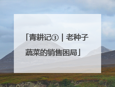 青耕记③｜老种子蔬菜的销售困局