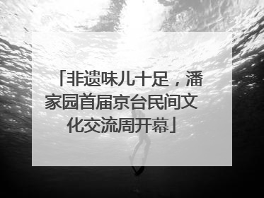 非遗味儿十足，潘家园首届京台民间文化交流周开幕