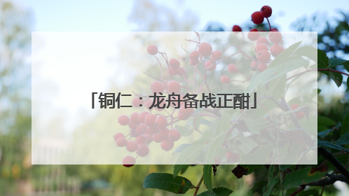 铜仁：龙舟备战正酣