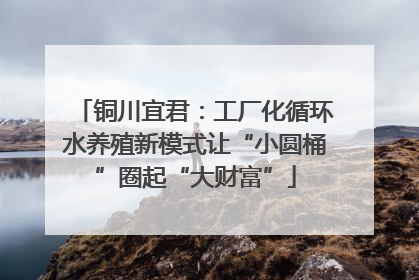 铜川宜君：工厂化循环水养殖新模式让“小圆桶”圈起“大财富”