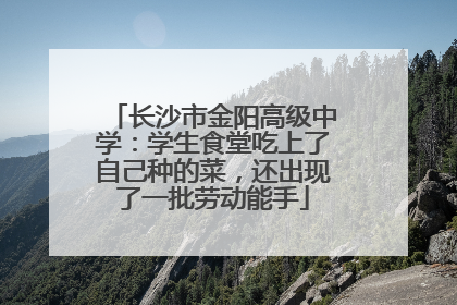 长沙市金阳高级中学：学生食堂吃上了自己种的菜，还出现了一批劳动能手