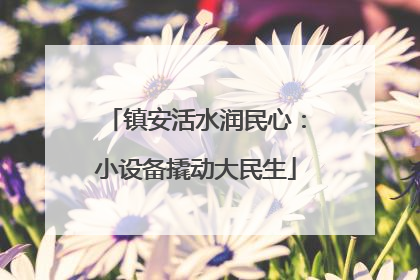 镇安活水润民心：小设备撬动大民生